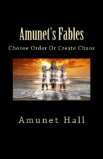 choose order or create chaos BookCoverImage